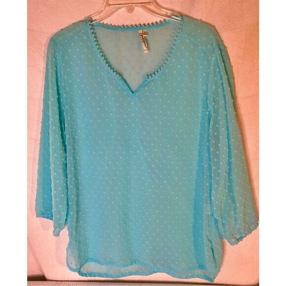 Grand & Greene Top Blue Green Textured Sheer Tunic Blouse Sz Medium - Picture 3 of 11